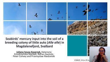 Seabirds Mercury Input Into the Soil of a Breeding Colony of Little Auks (Alle alle) in Magdalenefjord, Svalbard